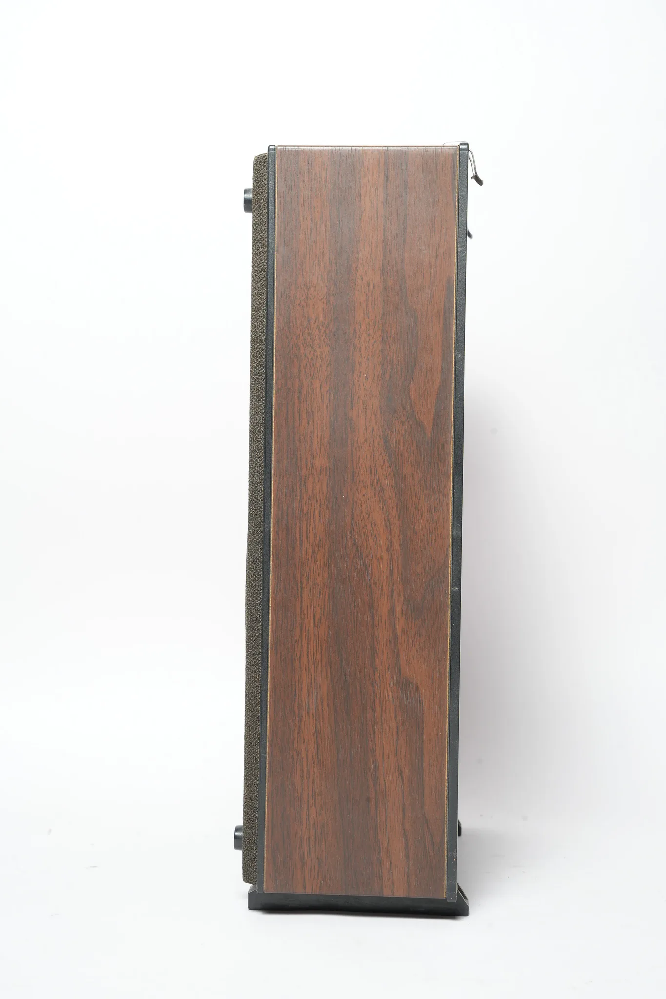 Sony Detachable System Speaker — photograph 2