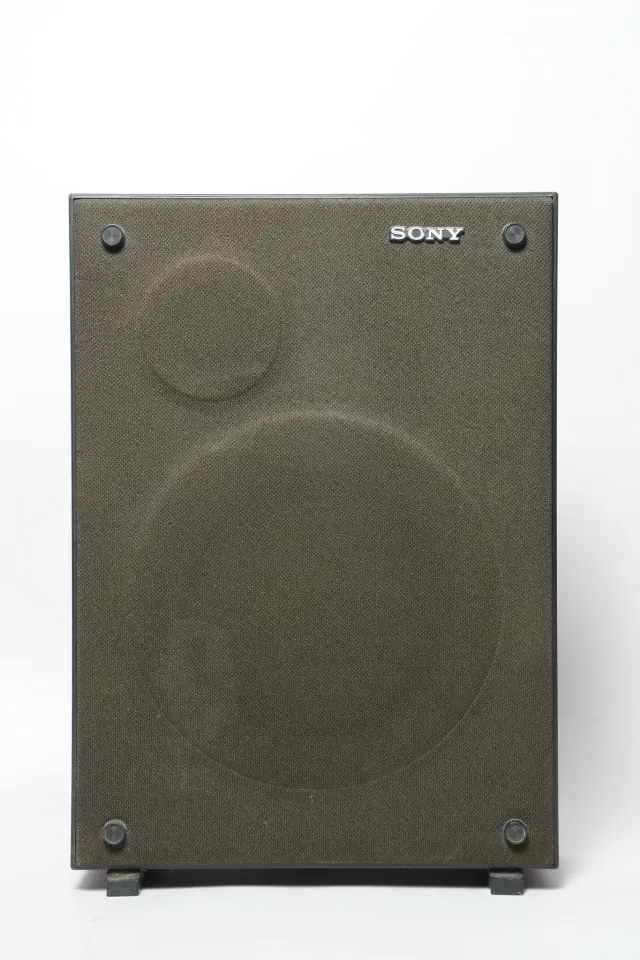 Sony Detachable System Speaker